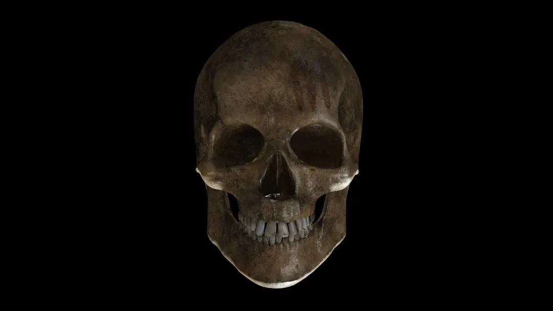 Neutral-lit close-up portrait showing clear facial structure and bone definition used in PSL Rating System objective attracti